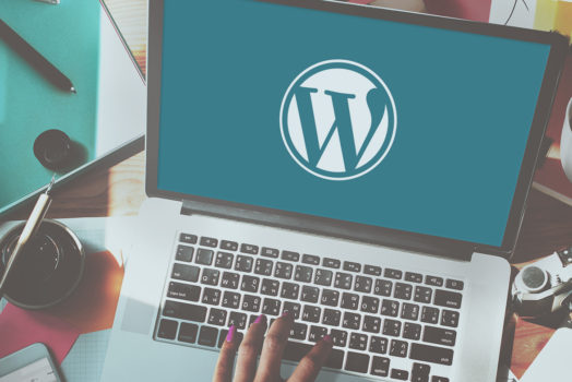 Why Free WordPress Themes Integration Can Be Precarious!